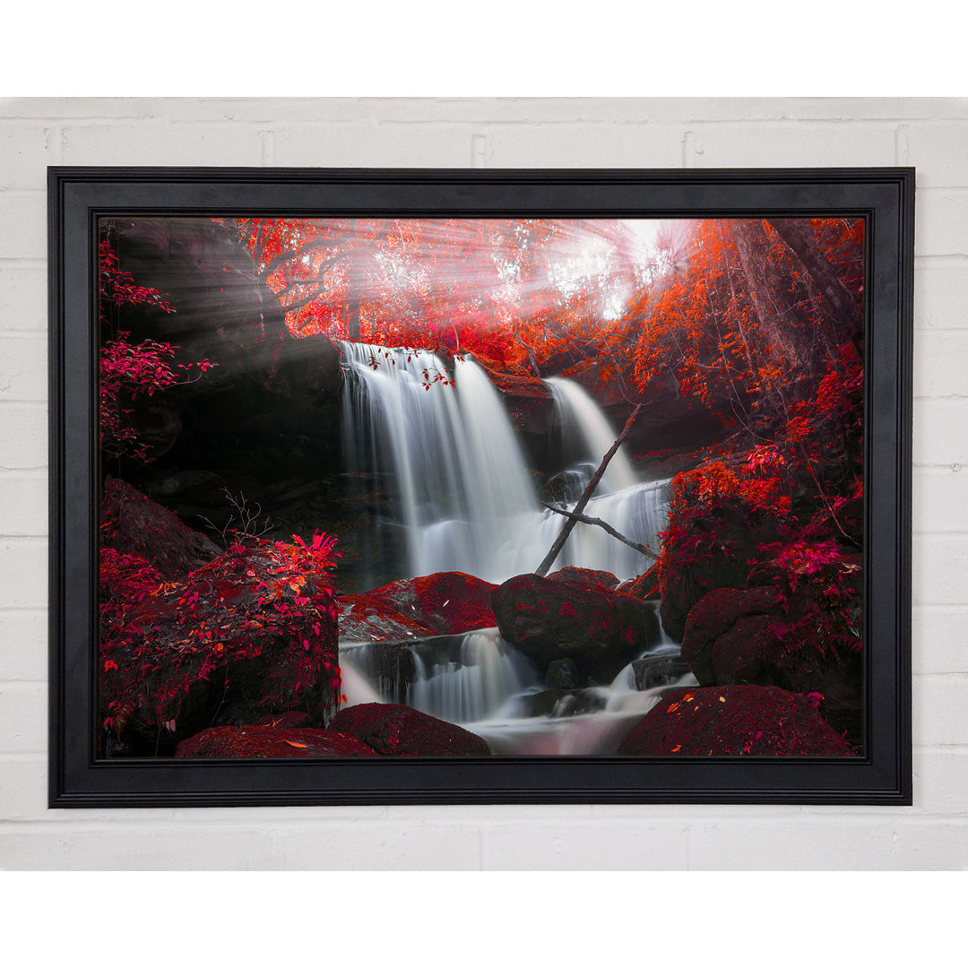 Red Forest Waterfall Delight Gerahmter Druck