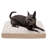 Orthopedic Polyester Pet Bed-51304728-51304733
