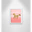 Adhésif décoratif ombre rose 3 pi-47841290-47841289