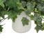 Trailing Ivy in Ribbed Ceramic Vase