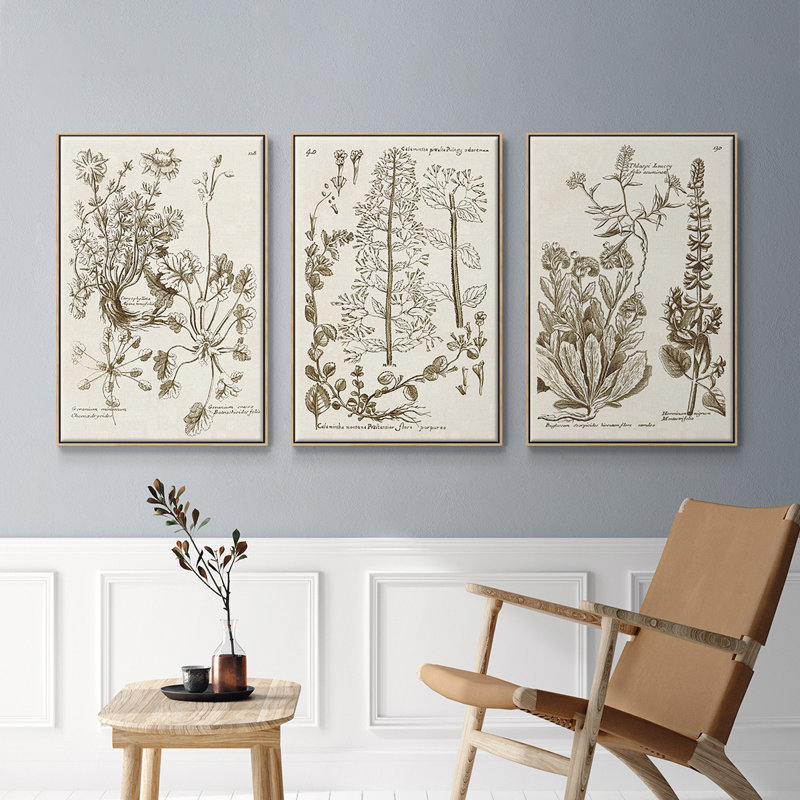 «Sepia Botanical Journal IV», ensemble de 3 reproductions de photos sur toile, Naturel, H 40 po x l 78 po