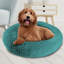 Beignet chaud Artrice-2139347632-2139347597