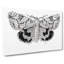 Underwing Moth by S.F. Denton - Wrapped Canvas-55372208