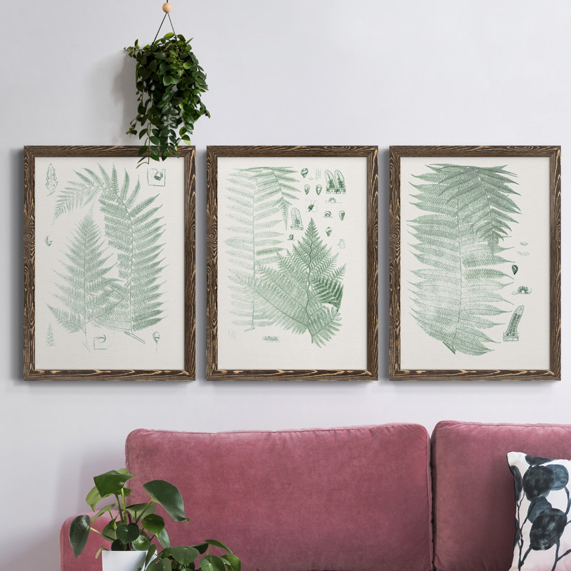 Verdure Ferns IV - ensemble de 3 peintures sur toile encadrées, Noyer, H 43,5 po x l 31,5 po x P 1 po