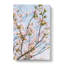 Cherry Blossom Tree - Wrapped Canvas-56644291