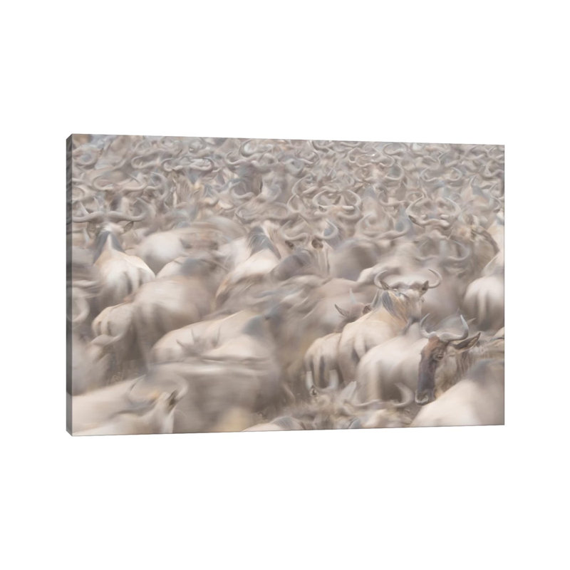 Africa, Kenya by Jaynes Gallery - Wrapped Canvas Gallery-Wrapped Canvas Giclée, 20.32cm H x 30.48cm W x 1.905cm D