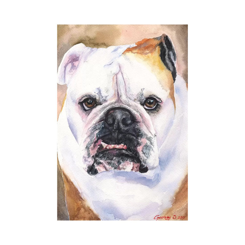 English Bulldog I by George Dyachenko - Wrapped Canvas Painting, 20.32 cm H x 30.48 cm W