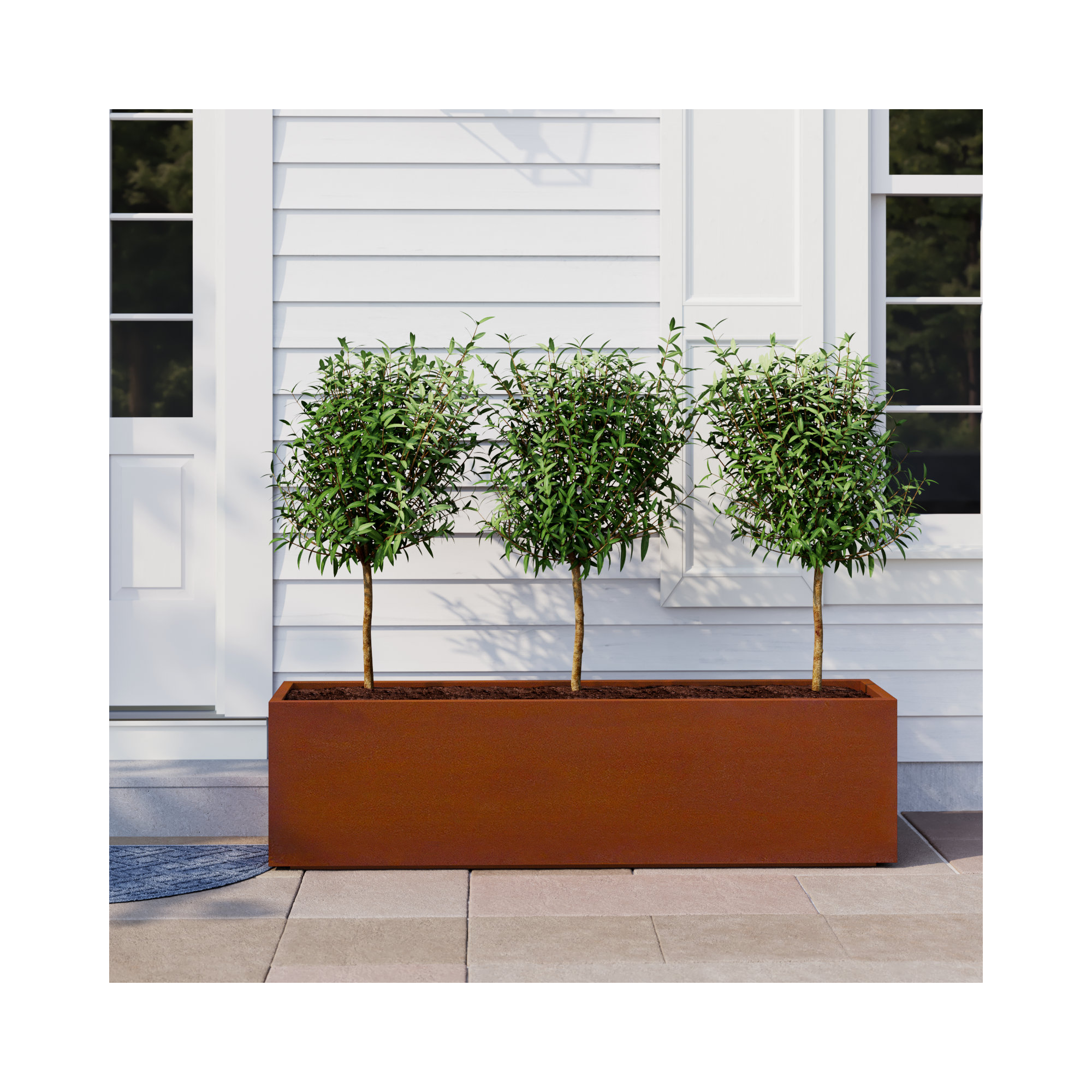 Corten Steel Series Long Box Planter, 16.25" H x 60" W x 15" D
