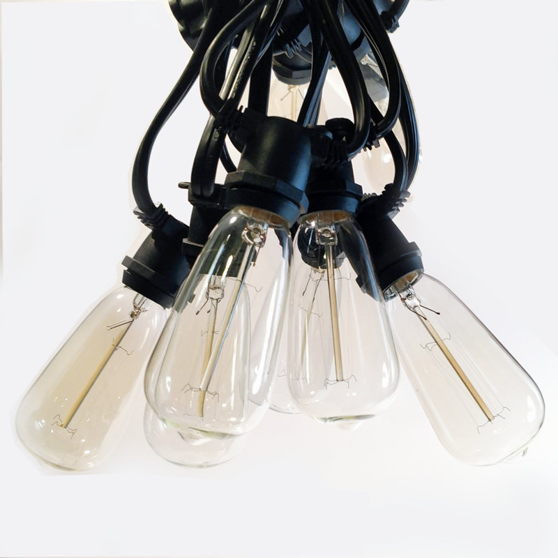 Edison String Lights Outdoor Plug-in String Light, Black, 1200" L