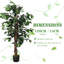 120 cm H Faux Ficus Tree Plant in Plastic Pot