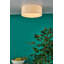 Derbyshire Plastic Flush Mount-1439351808