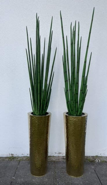 Faux Snake Plant in Planter, Goldtone Hammered
