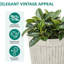 Ensemble de 2 pots à fleurs ronds ivoire avec trou de drainage 19,69 "H-378953978