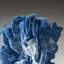 Genuine Blue Ridge Coral (7", 1.5 Lbs)