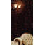 SeaTile 4" x 4" Natural Shell Liner Tile Trim in Pen Shell