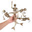 Décorations d'Halloween 4 pièces de squelette de sirène avec joints articulés 4 pièces Annekristin