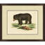 American Bear 1 Print