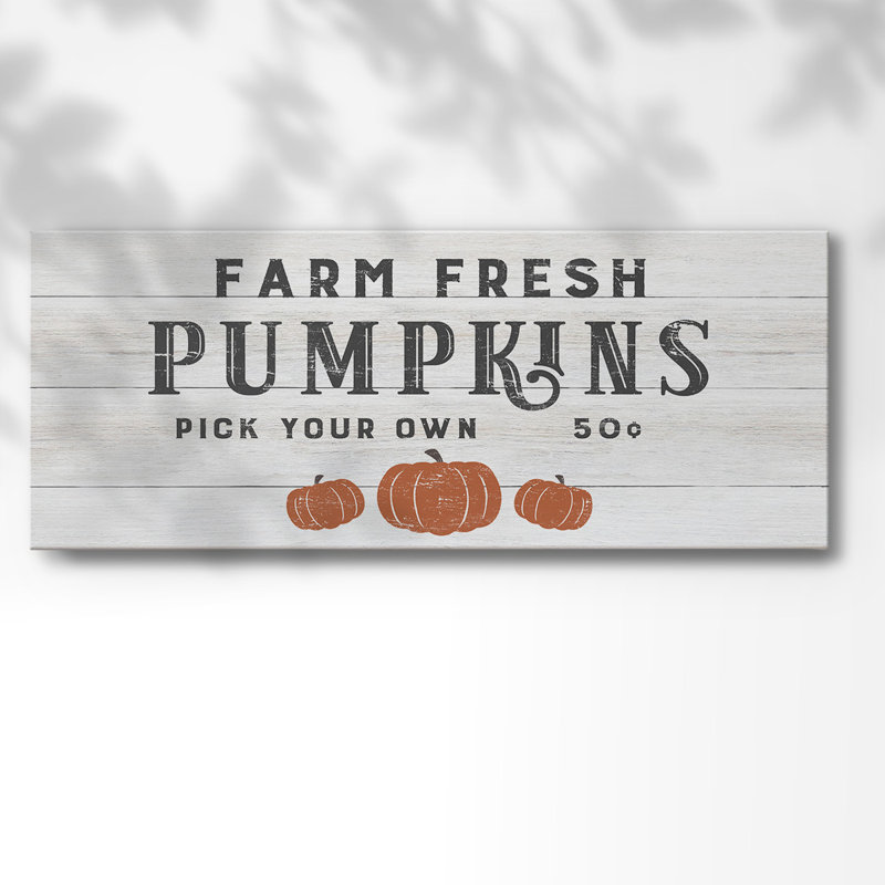 Citrouilles fraîches de ferme, H 8 po x l 20 po x P 1,5 po