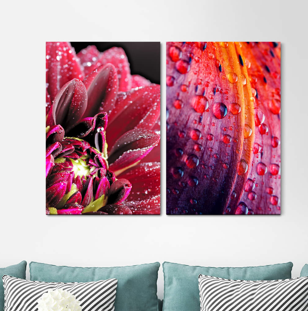 2-tlg. Leinwandbilder-Set - Fotografie „Zinnias Red Flower Colourful Raindrops Summer Soft Relaxing”