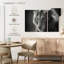 Lion sauvage monochromatique Brampt-108008544