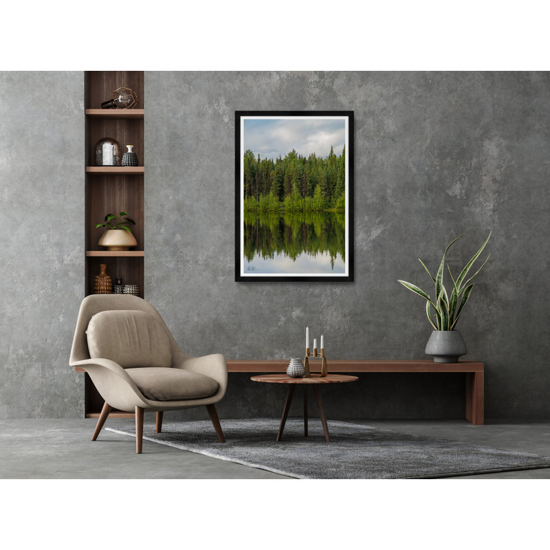 Tree Reflection Print by Tim Klein