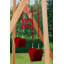 Portique en bois Trailside-55037523