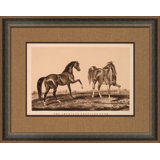 The American Trotting Stud Series (A) Print