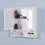 Wall Mounted Bathroom Cabinet With 2 Mirror Doors And Adjustable Shelf, Perfect For Organized Storage And Space Efficiency.