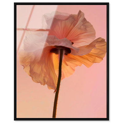 Amber Radiance IV Print