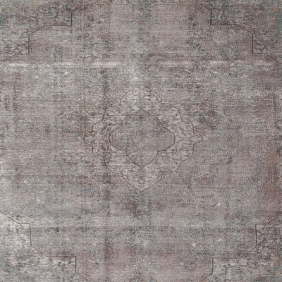 Oriental Indoor Rug
