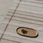 Zona Outdoor Striped Area Rug in Sesame/Beige-458694838