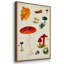 " Mushroom Species VI " 3 - Pieces-91891307-91891302