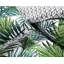 NightComfort Palm Leaf Wesley Green Cotton Rich Duvet Cover Set with Pillowcase-55849756