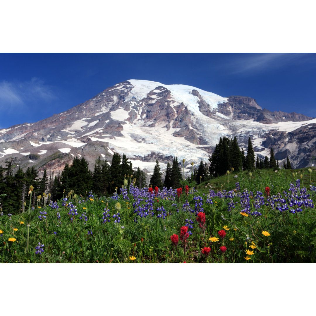 Mount Rainier von Jeremy Edwards - Drucken