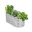 Jardinière en métal surélevée avec jardin 4 x 2 x 1 pi-2098514204