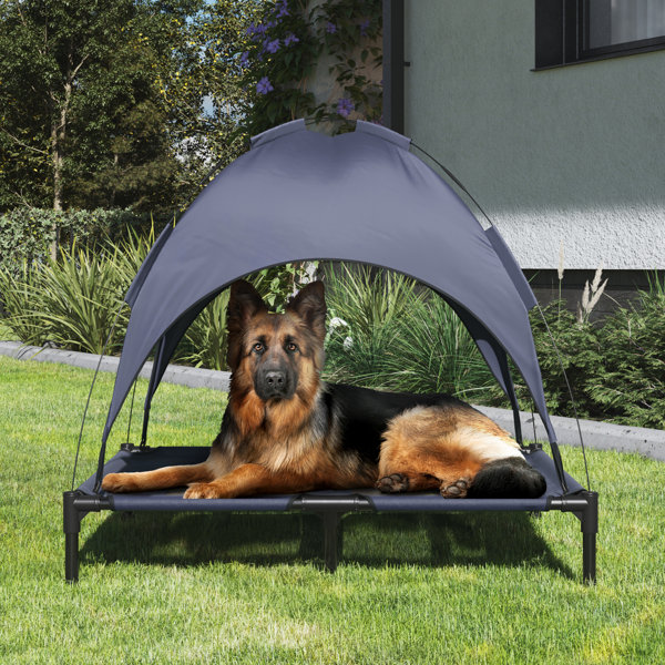 Take Your Furry Friend Anywhere With This Durable, Breathable