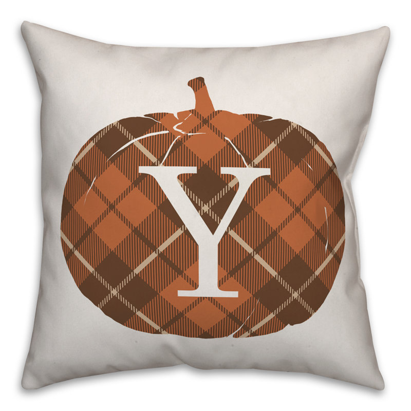 Throw Pillow, Y