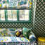 Tissu jardin d'agrumes-22437081