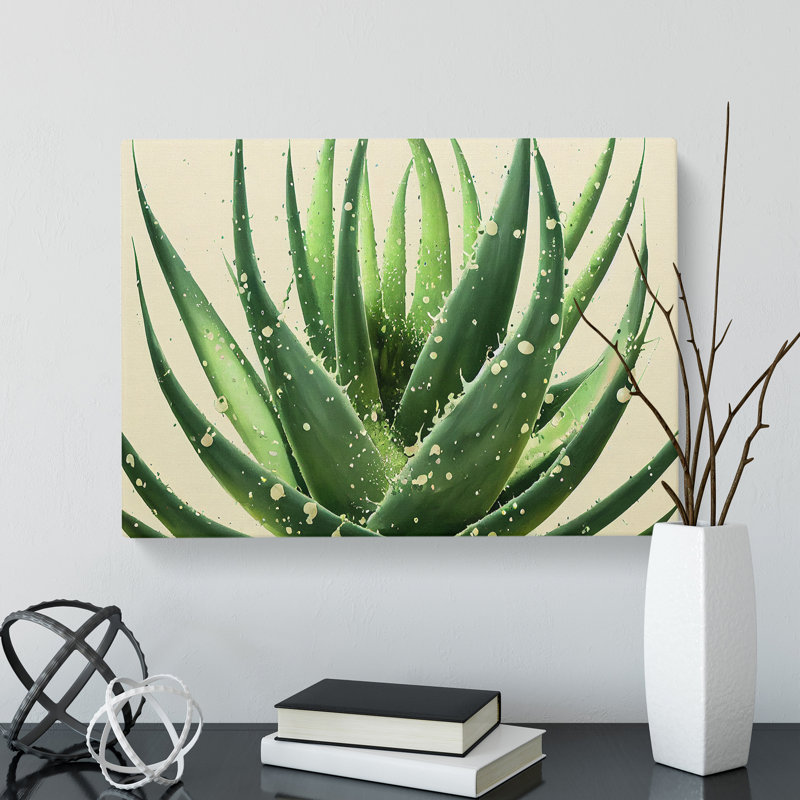 Angelical Aloe Vera Plant - Wrapped Canvas, 35cm H x 50cm W x 3cm D