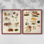 Champignon III - Reproduction encadrée de qualité supérieure - prêt à être accroché - aucun clou requis - aucun clou requis-2078107037-2078107038