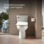 C3® Toilet Seat Bidet Elongated Bidet Seat-325369575