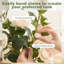 65cm Plant-446146512