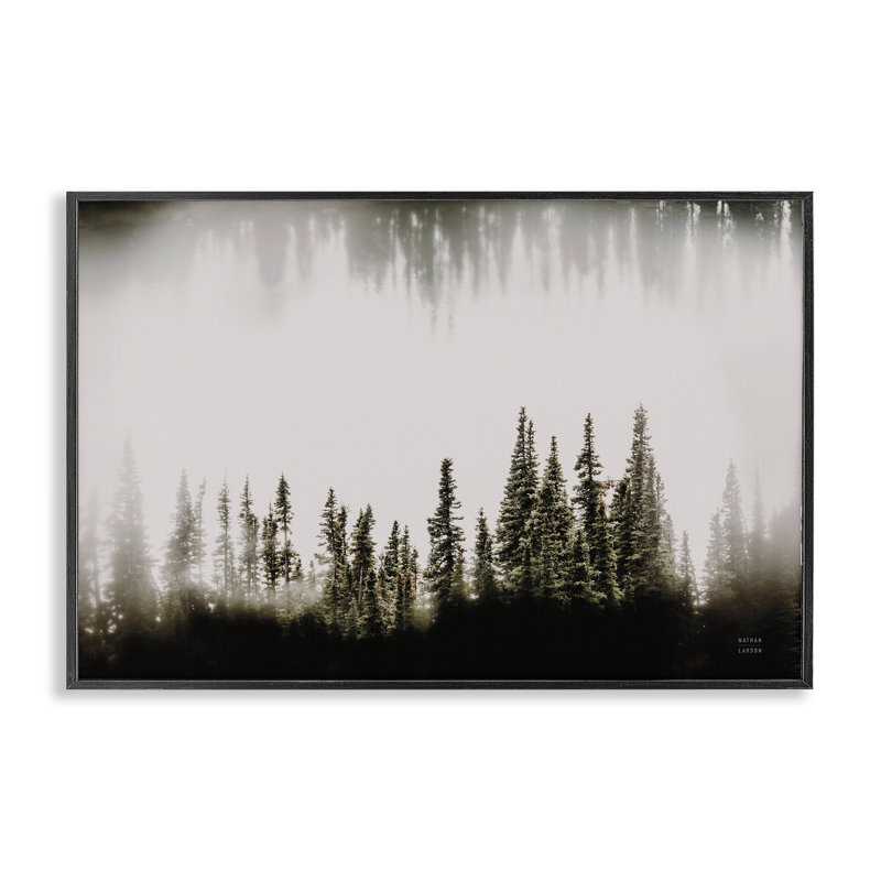 «Waterwood Tree Composition», estampe numérique par Nathan Larson, H 12 po x l 18 po, Giclée encadrée noir minuit