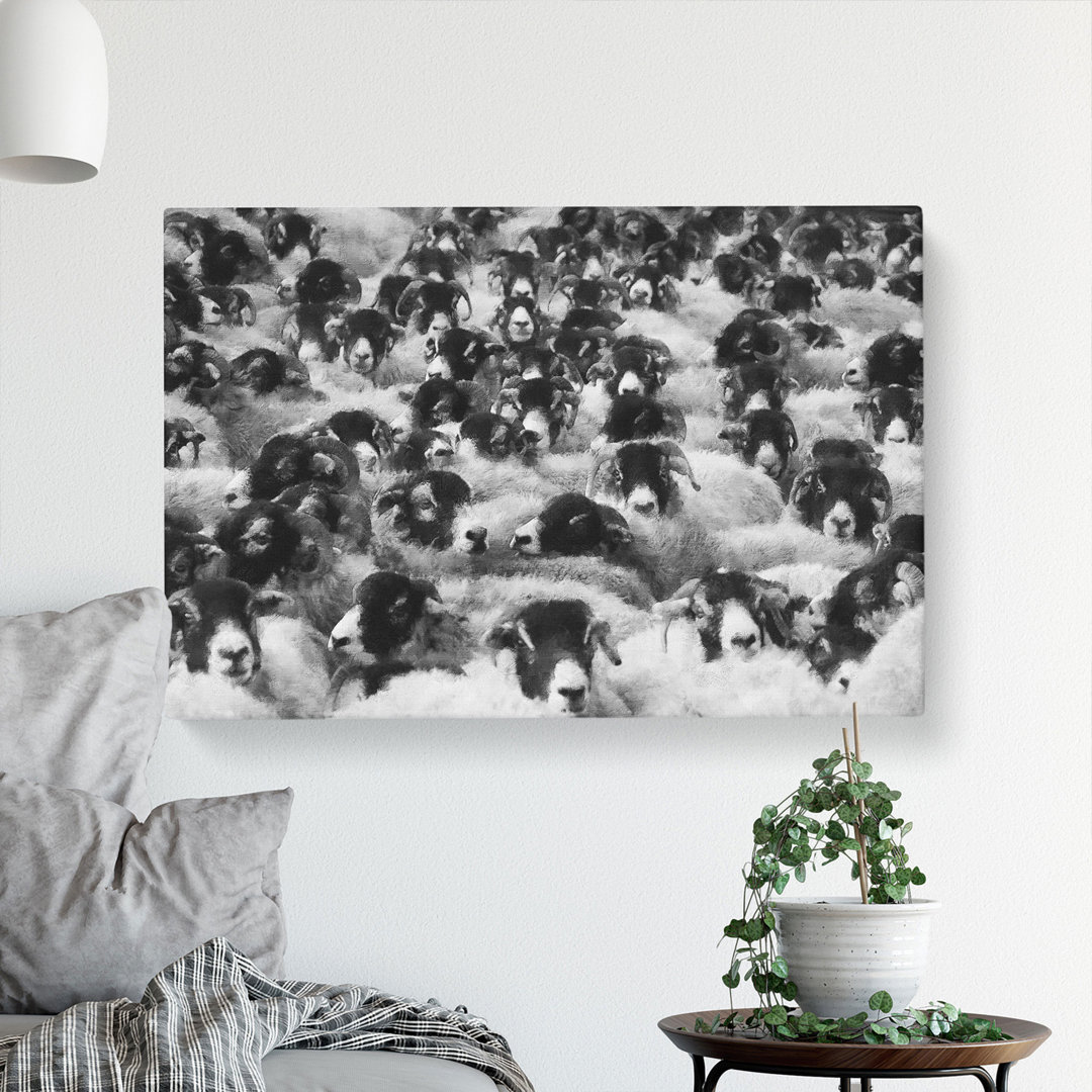 Flock Of Sheep Vol.2 - Wrapped Canvas