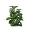 Plante artificielle-1453169157-1453169179