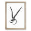 Sheep Skull Illustration in Black and White - Picture Frame Drawing Print-55619214-55619219