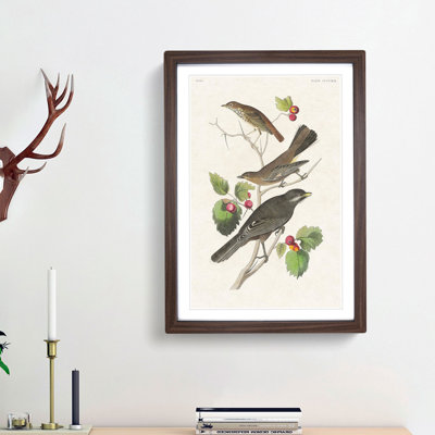Selection of Birds by John Audubon - Picture Frame Painting Print