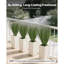 68.6cm Faux Onion Grass Grass