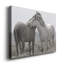 Affection - reproduction de photo sur toile tendue-1544911468