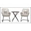 Ensemble de 2 fauteuils d'extérieur en rotin PE gris clair avec support à ressorts pour balcon, jardin et cour